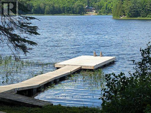 1038 Stonehenge Lane, Highlands East, Ontario  K0L 1M0 - Photo 37 - X12879370