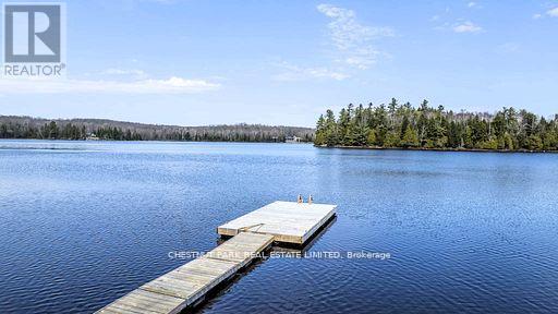 1038 Stonehenge Lane, Highlands East, Ontario  K0L 1M0 - Photo 35 - X12879370