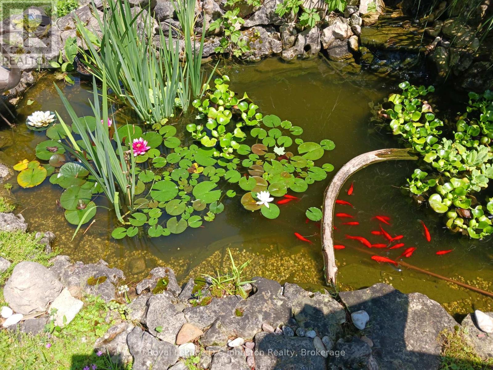 121 Edward Street, Saugeen Shores, Ontario  N0H 2L0 - Photo 26 - X12976912