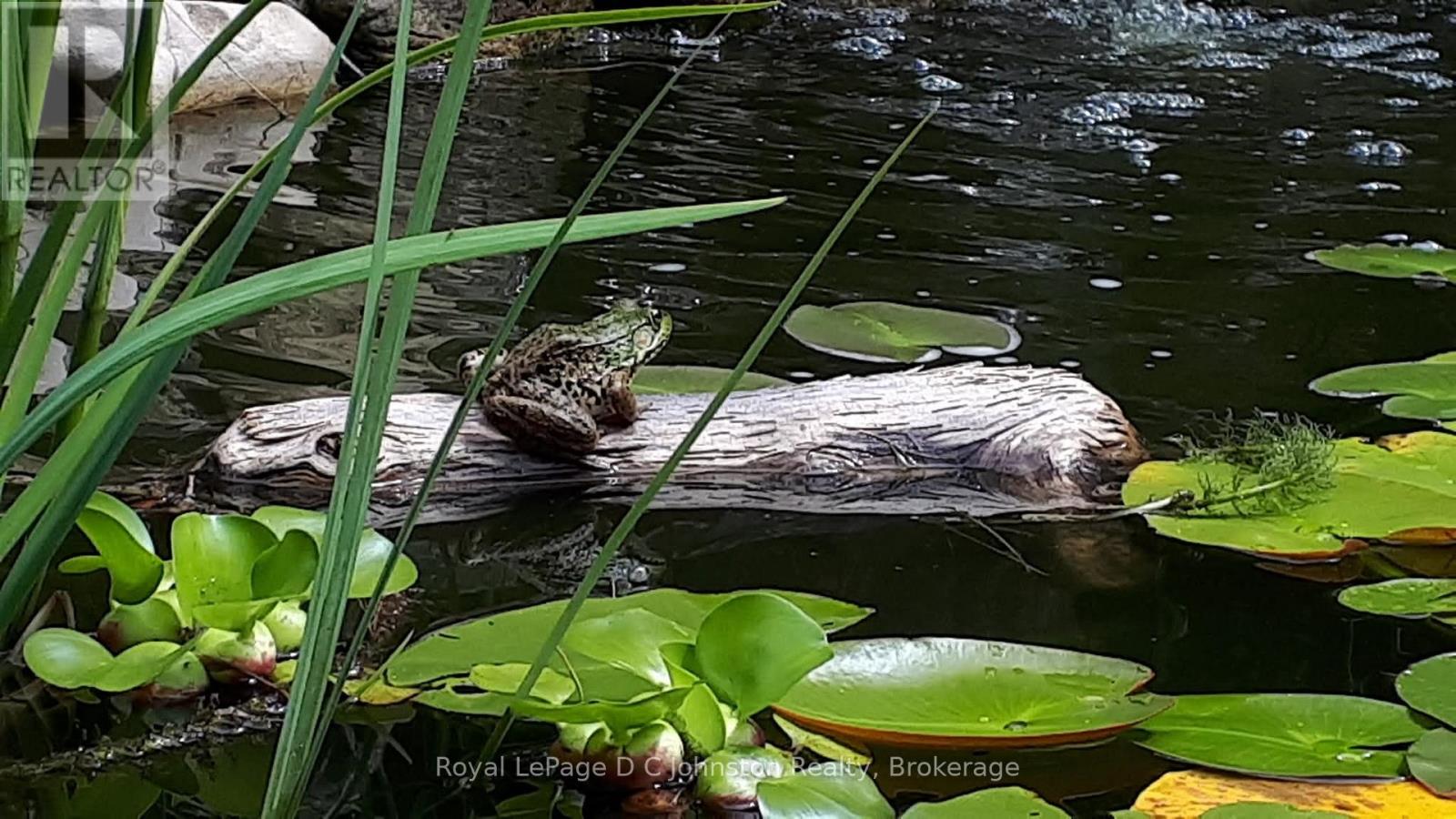 121 Edward Street, Saugeen Shores, Ontario  N0H 2L0 - Photo 27 - X12976912