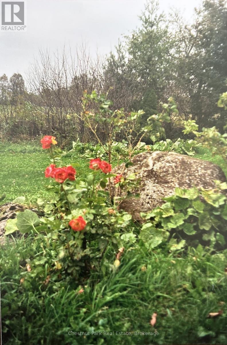 481 24th Street W, Owen Sound, Ontario  N4K 4H9 - Photo 41 - X12976974