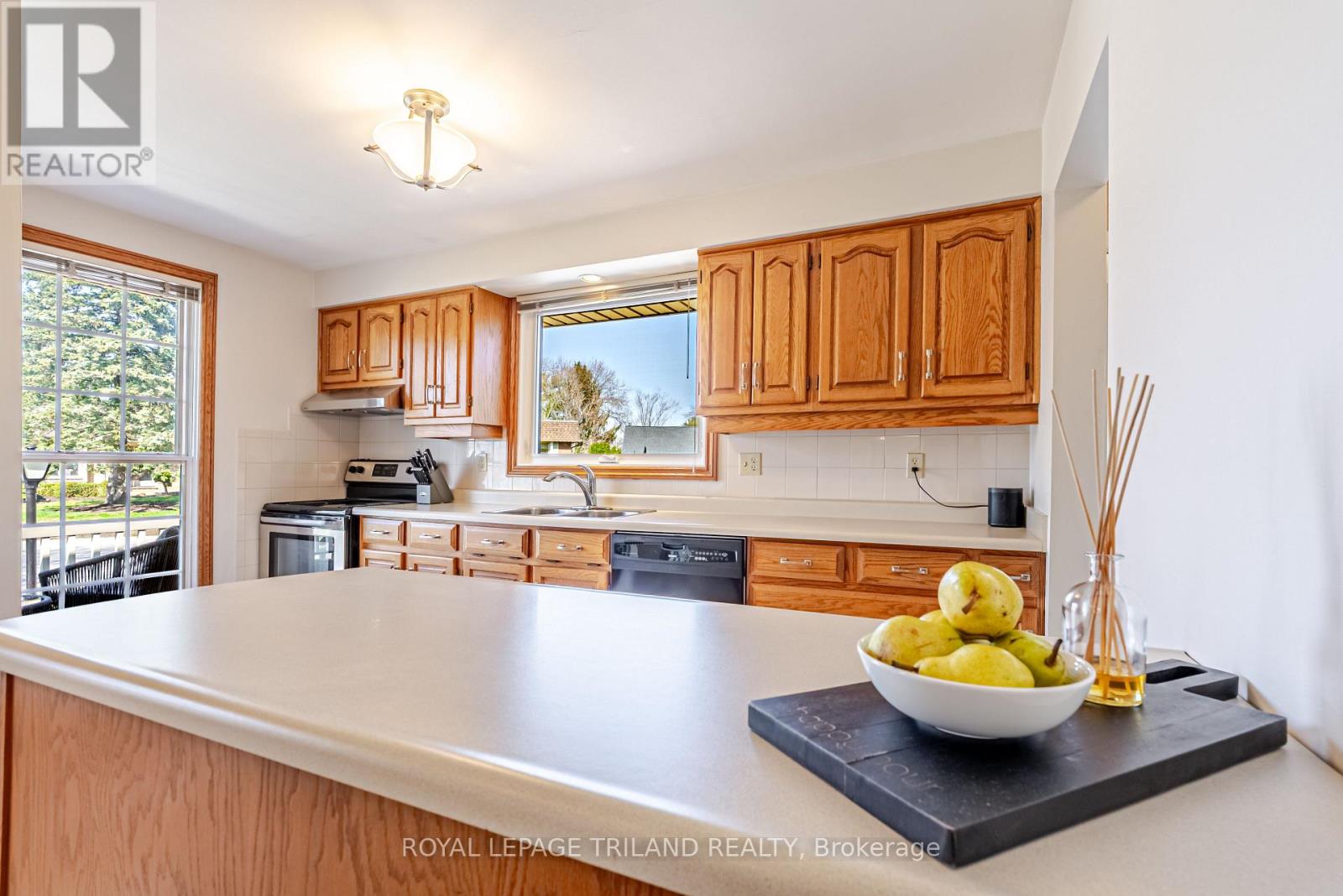 183 Canterbury Drive, Thames Centre, Ontario N0L 1G3 - Photo 15 - X12978038