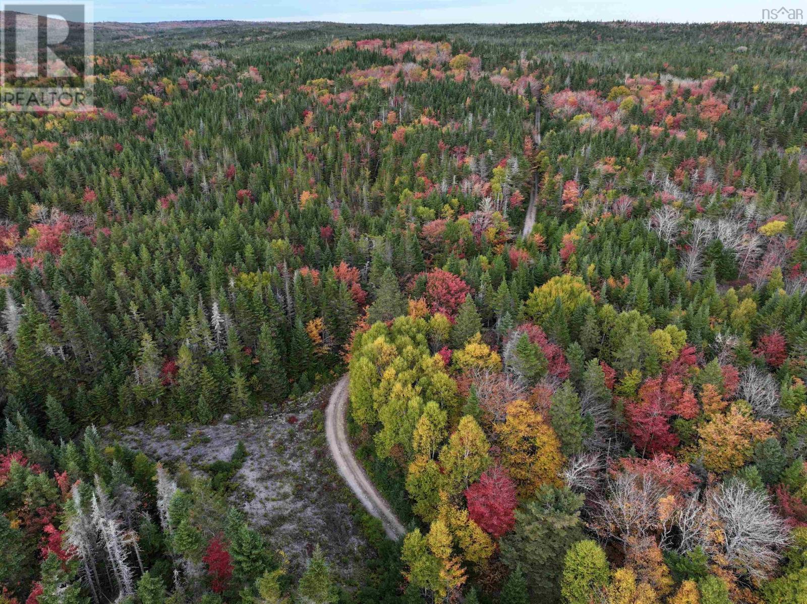 Lot 2 Highway 316, Country Harbour Mines, Nova Scotia  B0H 1J0 - Photo 13 - 202526020
