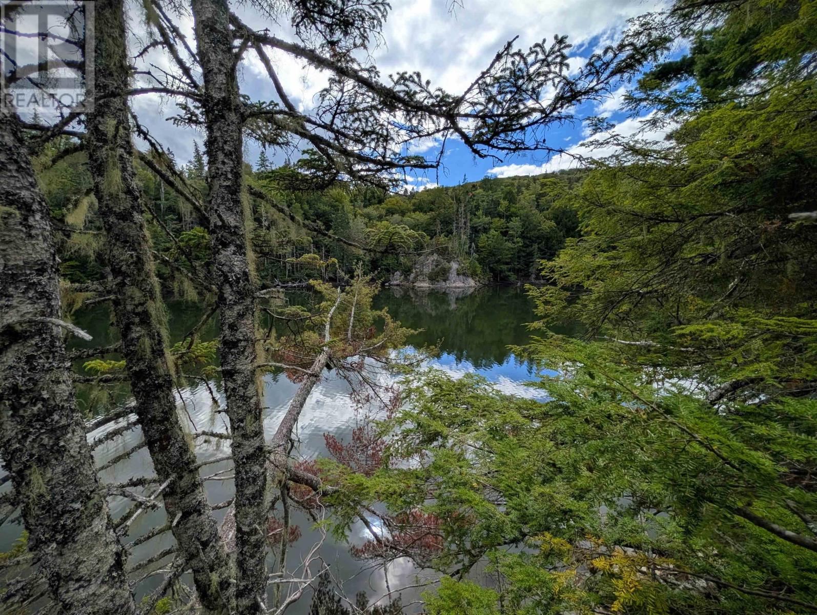 Lot 2 Highway 316, Country Harbour Mines, Nova Scotia  B0H 1J0 - Photo 8 - 202526020