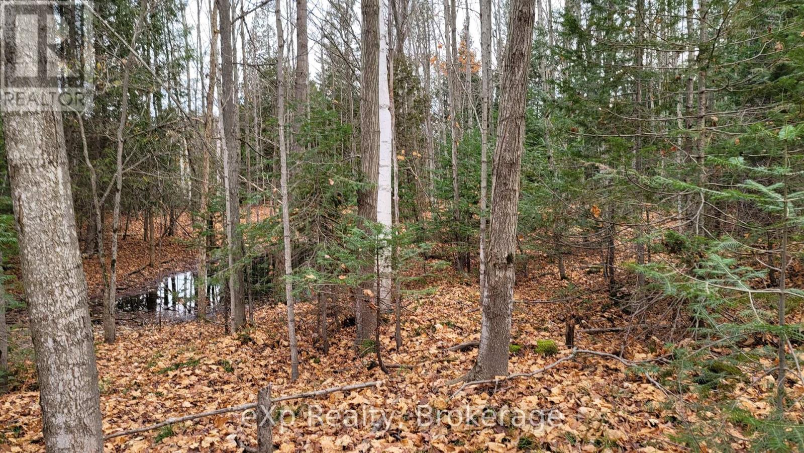 736073 West Back Line, Chatsworth, Ontario  N0C 1H0 - Photo 24 - X12976090