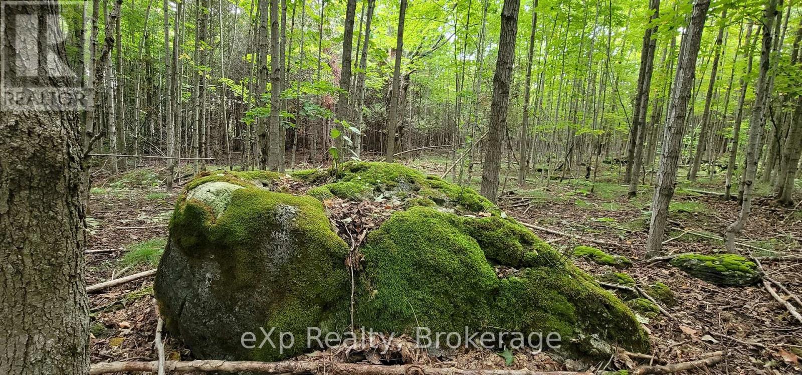 736073 West Back Line, Chatsworth, Ontario  N0C 1H0 - Photo 23 - X12976090