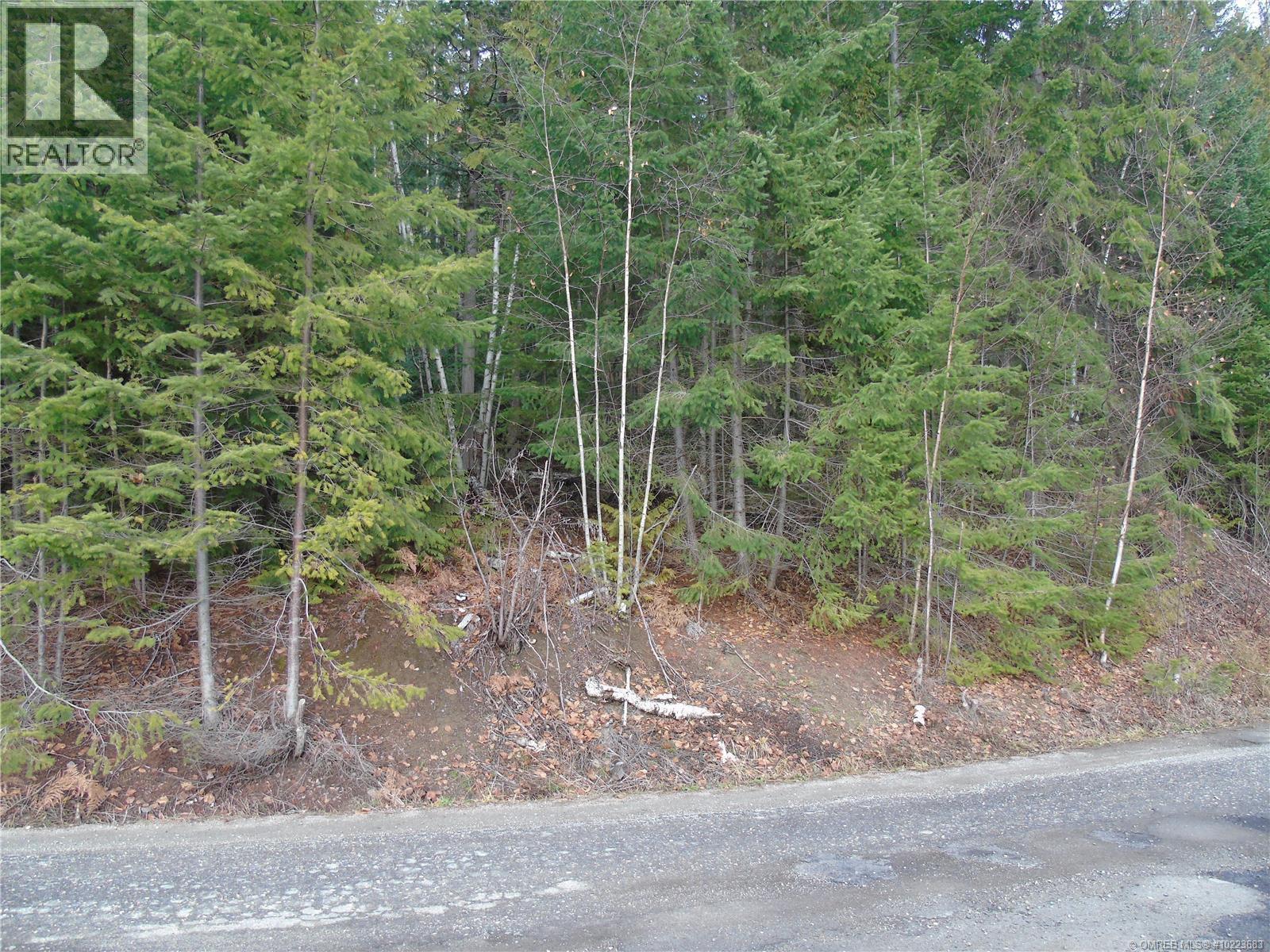 Lot 72 Anglemont Way, Anglemont, British Columbia  V0E 1M8 - Photo 2 - 10382307
