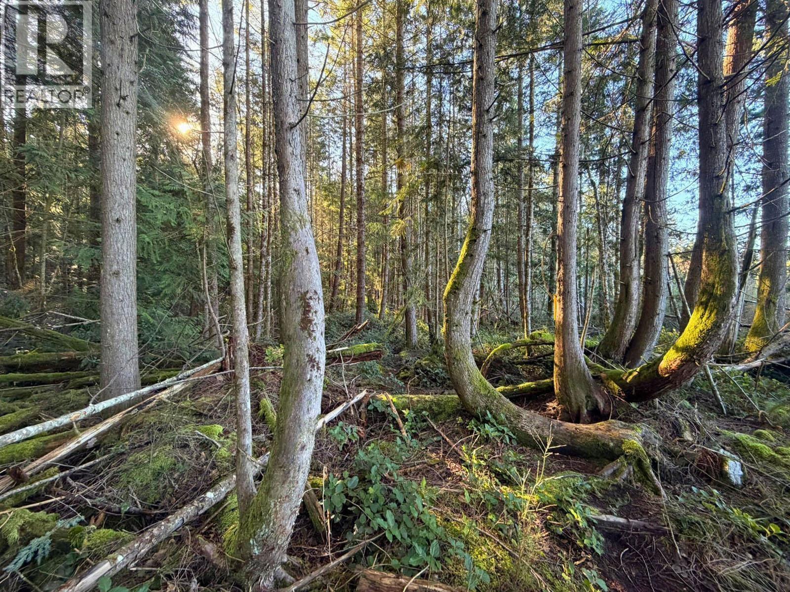 Block C Lockyer Road, Roberts Creek, British Columbia  V0N 2W1 - Photo 13 - R3106735