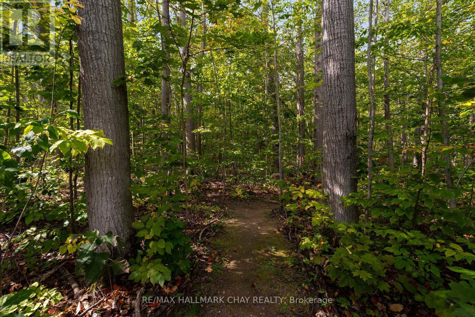 8 Byers Street, Springwater, Ontario  L9X 2A3 - Photo 38 - S12968020