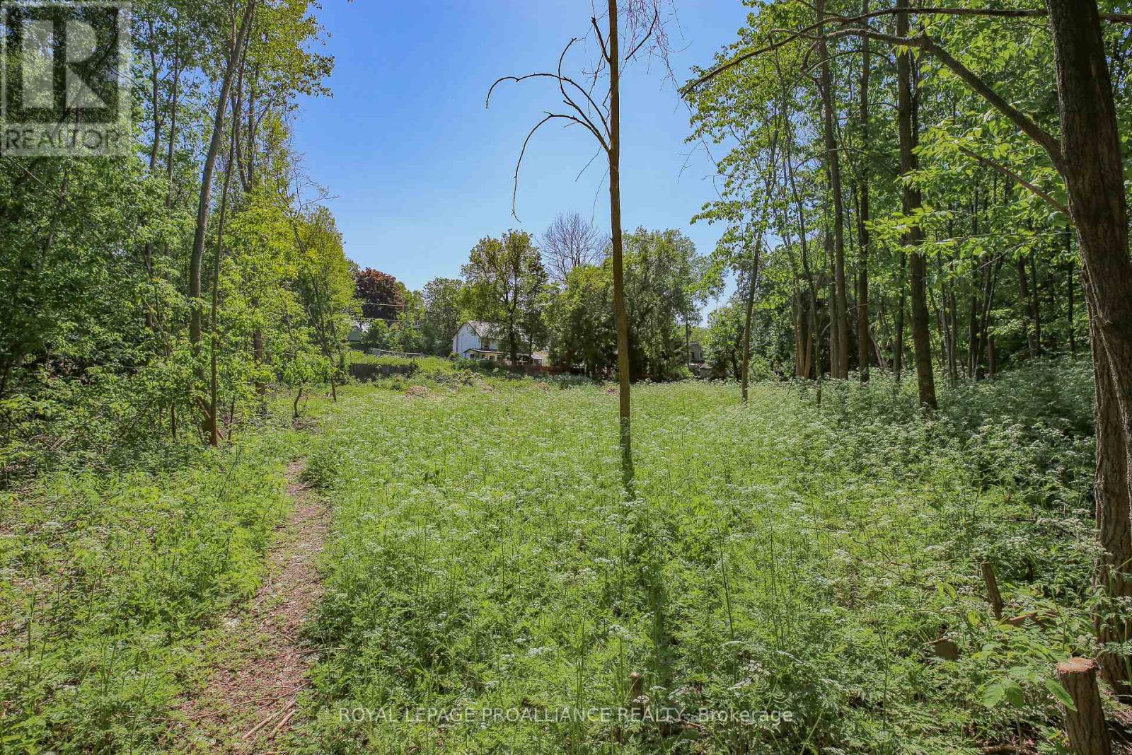 0 Edward Street, Brockville, Ontario  K6V 5K2 - Photo 6 - X12978506