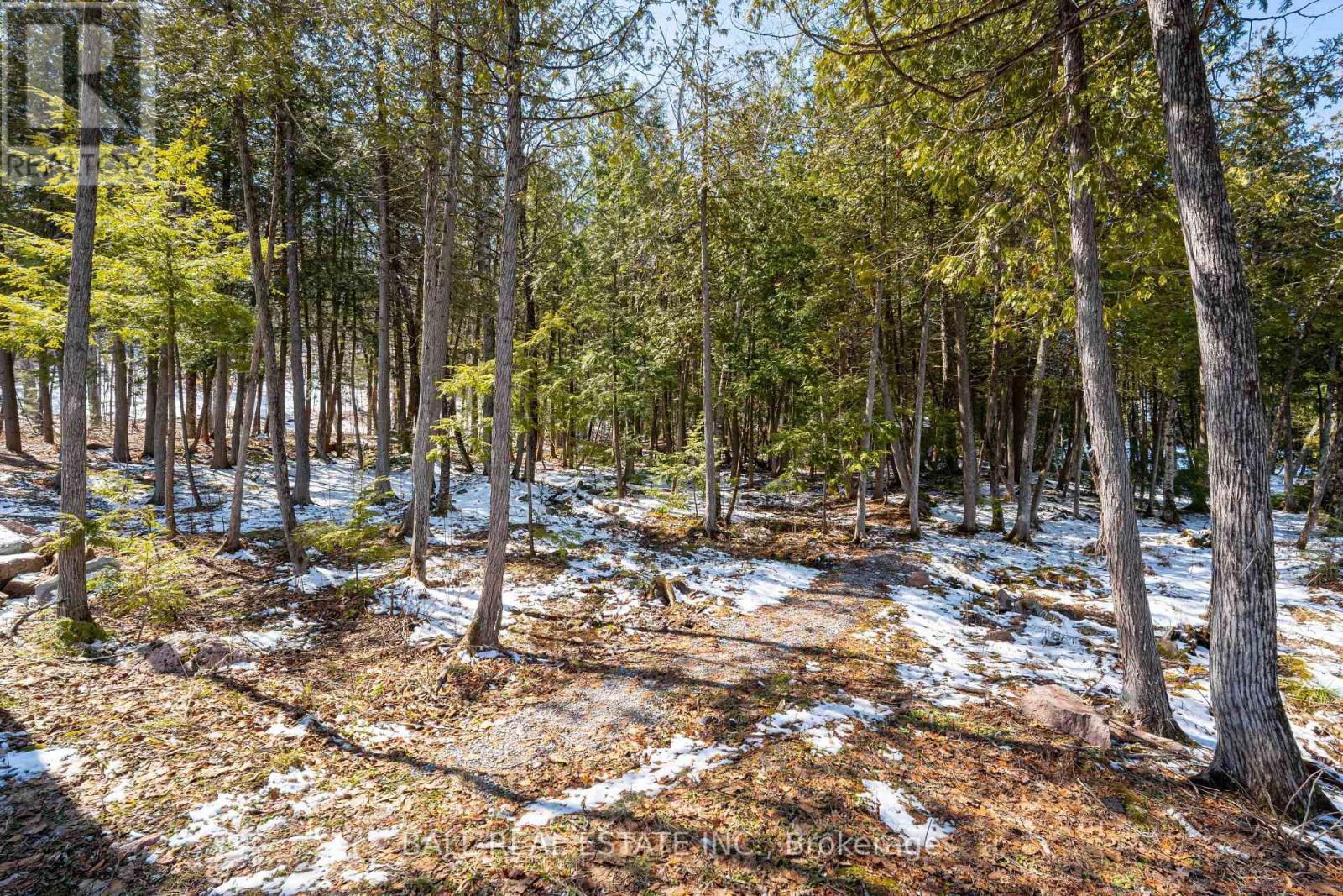 3174 + 3170 Spring Lane E, Selwyn, Ontario  K0L 2H0 - Photo 48 - X12975470