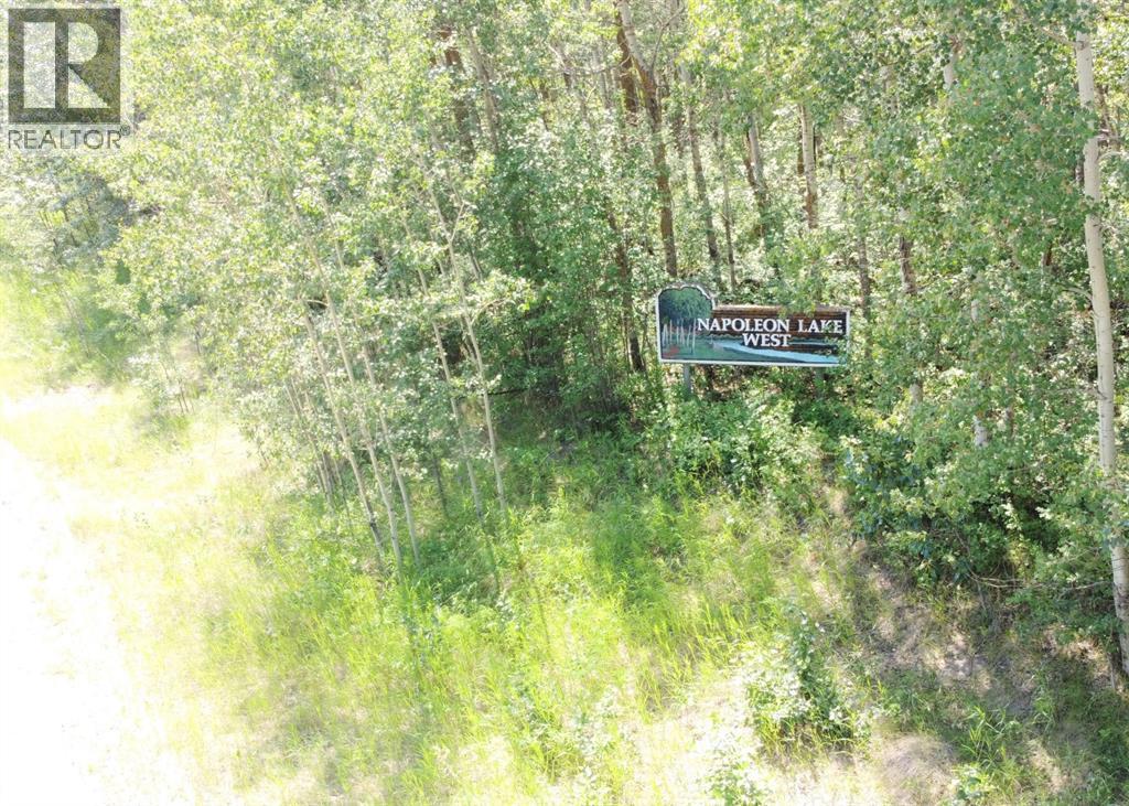 5650 Lakeside Way, Innisfail, Alberta  T4G 0H4 - Photo 4 - A2299324