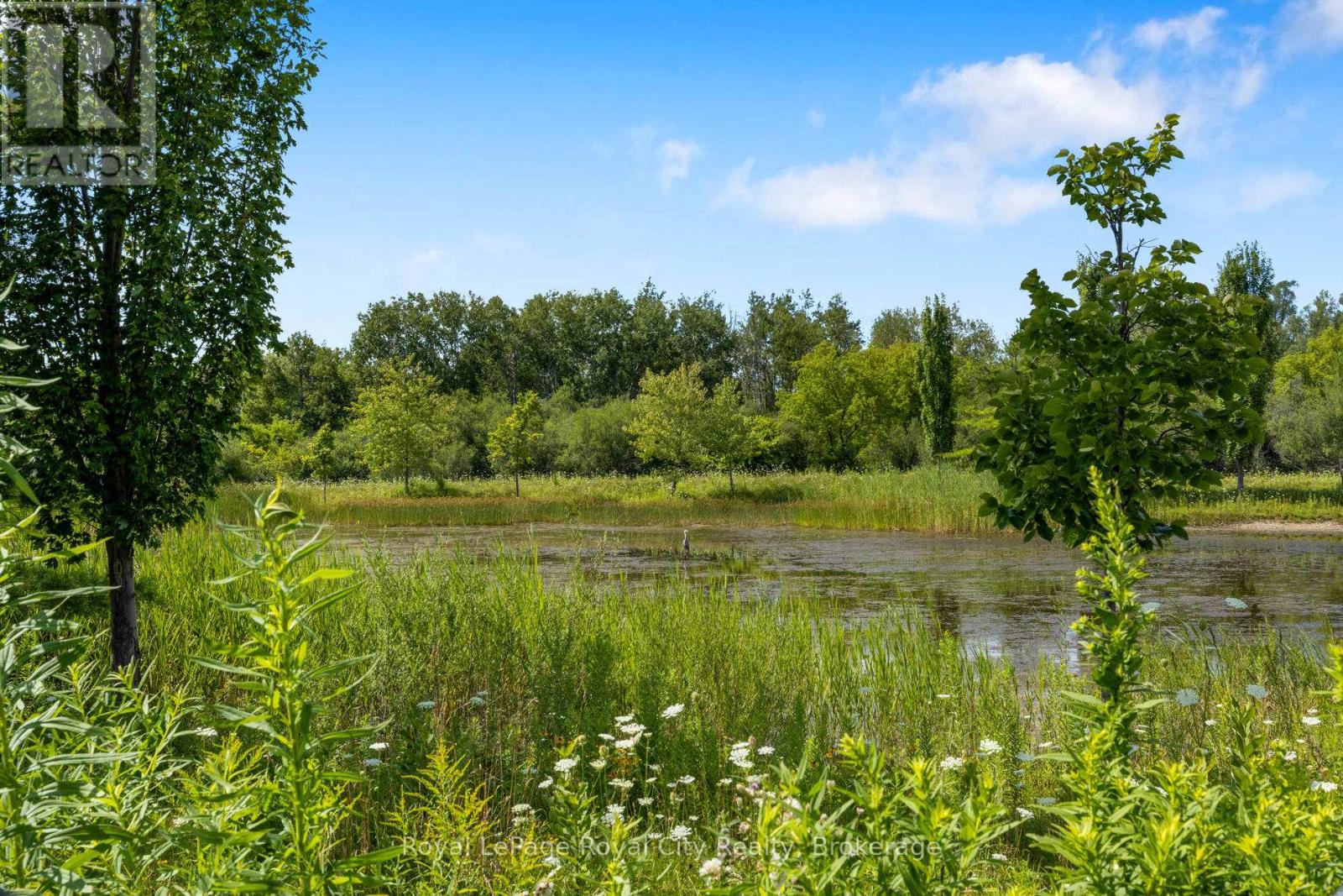 71 Vaughan Street, Guelph, Ontario  N1G 0B3 - Photo 37 - X12978492