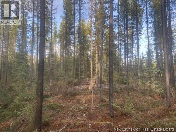 0 Route 8, Nashwaak Village, New Brunswick  E6C 1M6 - Photo 1 - NB136864