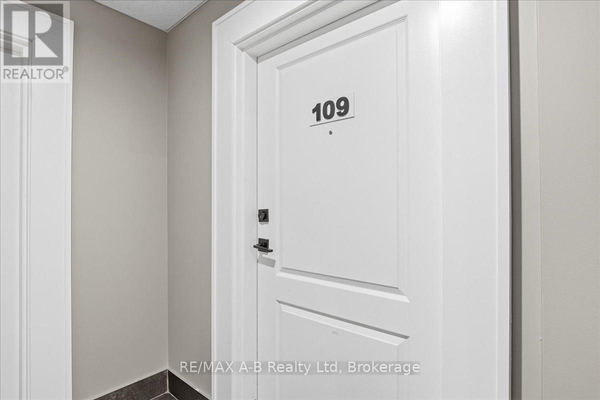 109 - 235 John Street N, Stratford, Ontario N5A 0H9 - Photo 5 - X12798718