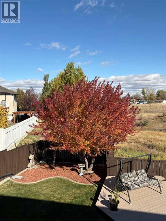 158 Sunrise Road Sw, Medicine Hat, Alberta  T1B 4S1 - Photo 35 - A2296134