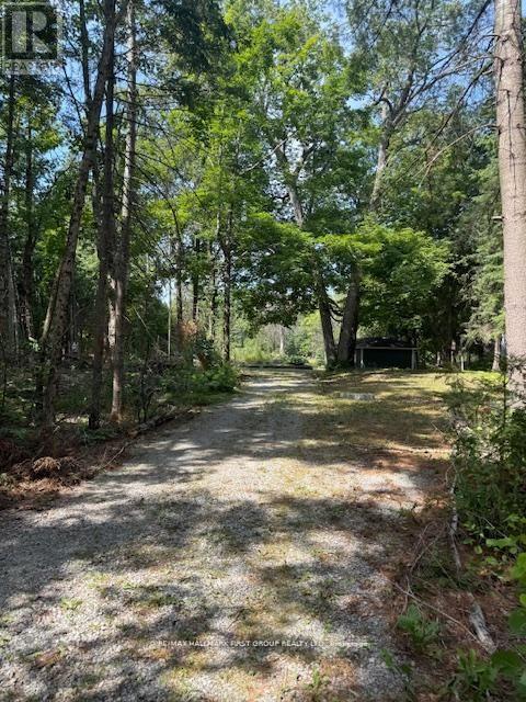 94 Everett Road, Kawartha Lakes, Ontario  K0K 1K0 - Photo 21 - X12978474