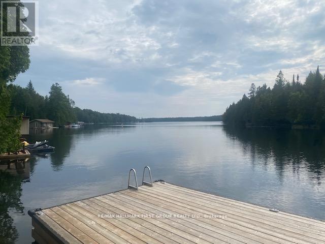 94 Everett Road, Kawartha Lakes, Ontario  K0K 1K0 - Photo 23 - X12978474