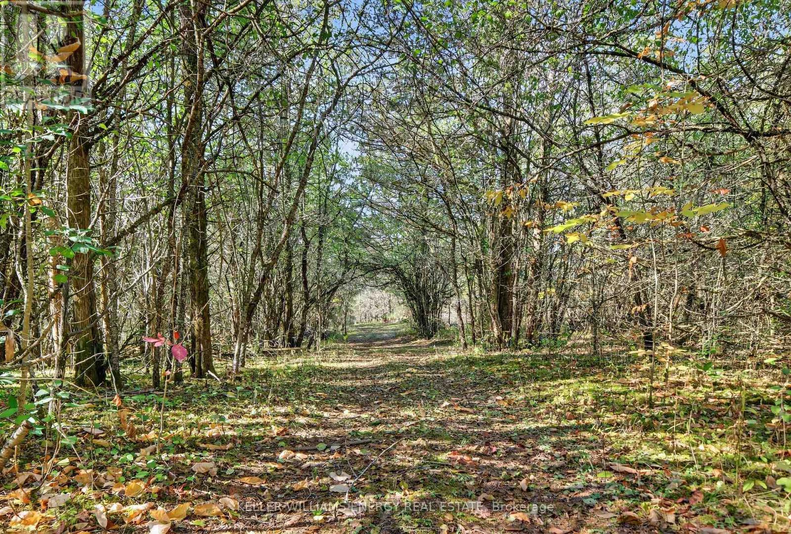 108 Dutch Road, Prince Edward County, Ontario  K0K 1T0 - Photo 47 - X12802036