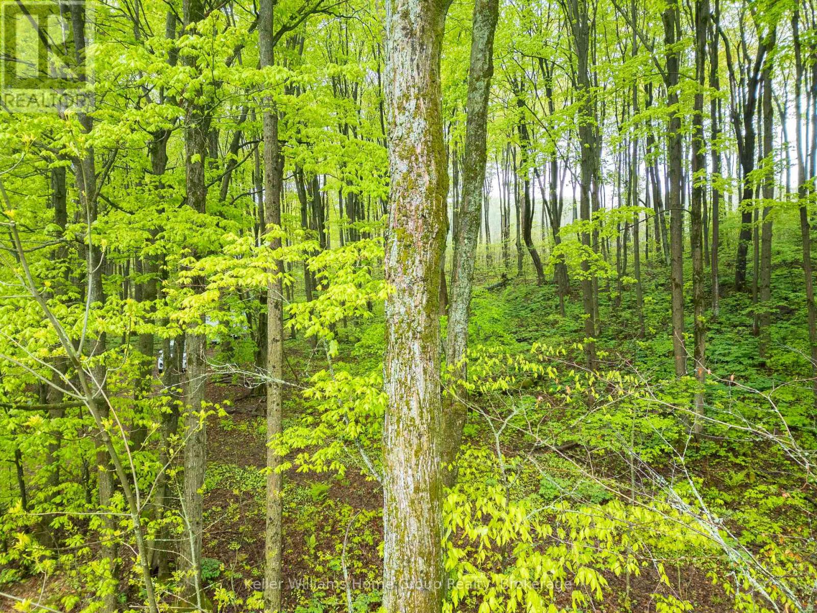 Pt Lt 6 Baseline Road, Grey Highlands, Ontario  N0C 1H0 - Photo 11 - X12978912