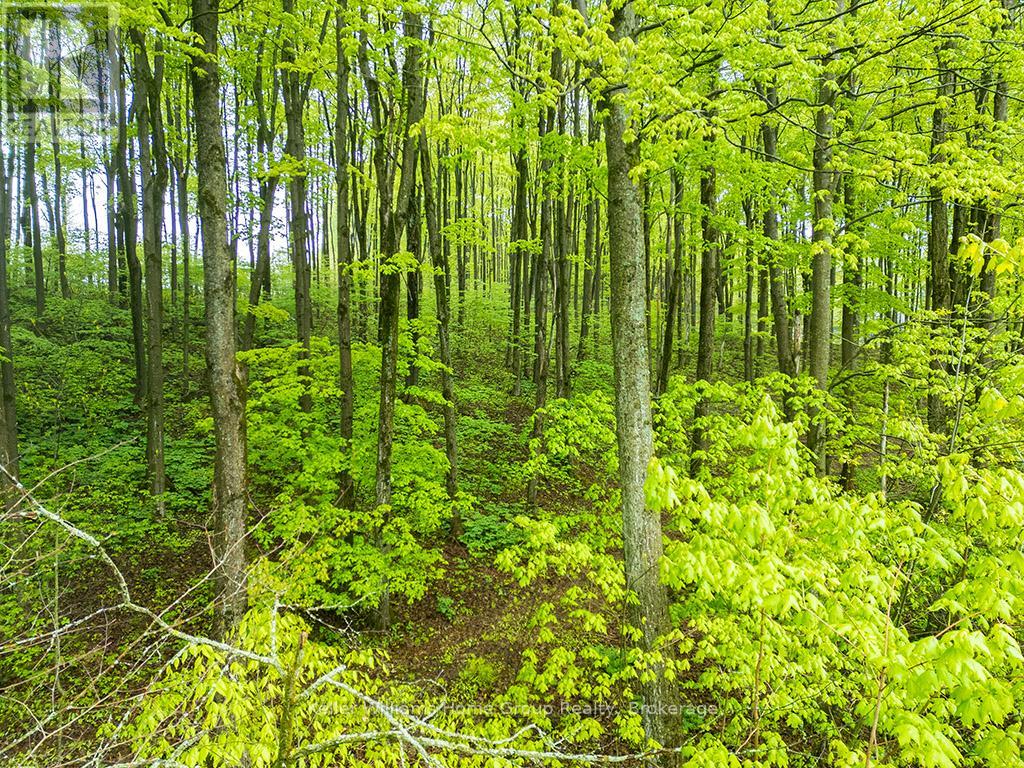 Pt Lt 6 Baseline Road, Grey Highlands, Ontario  N0C 1H0 - Photo 20 - X12978912