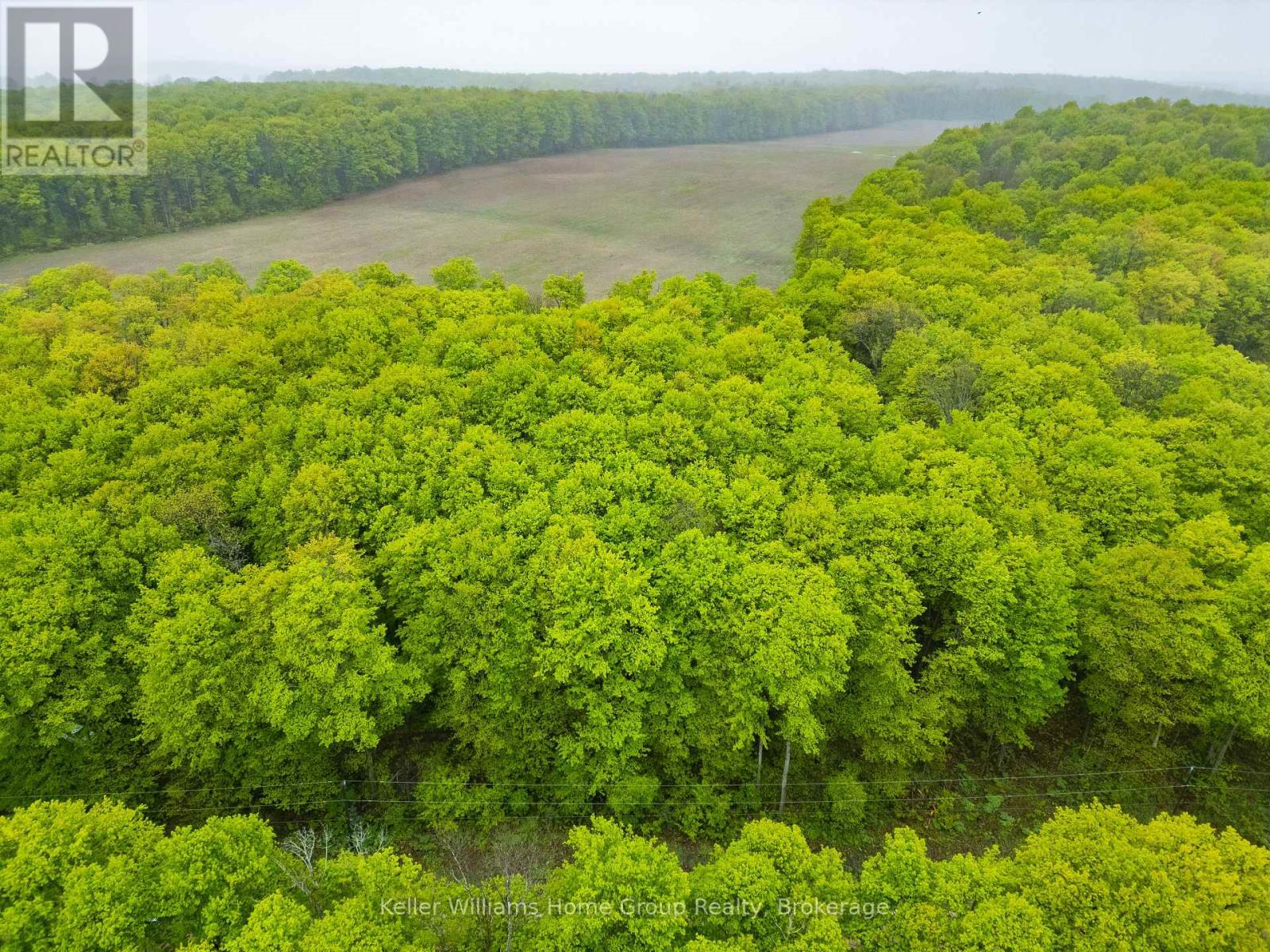 Pt Lt 6 Baseline Road, Grey Highlands, Ontario  N0C 1H0 - Photo 6 - X12978912
