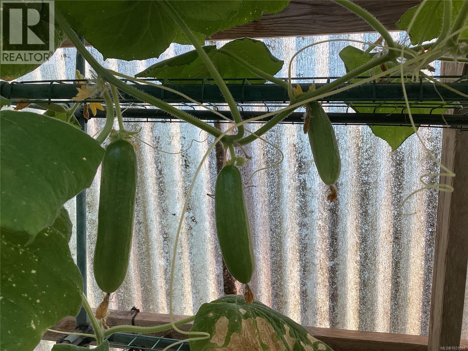 8900 Keith Wagner Way, Denman Island, British Columbia  V0R 1T0 - Photo 85 - 1031597