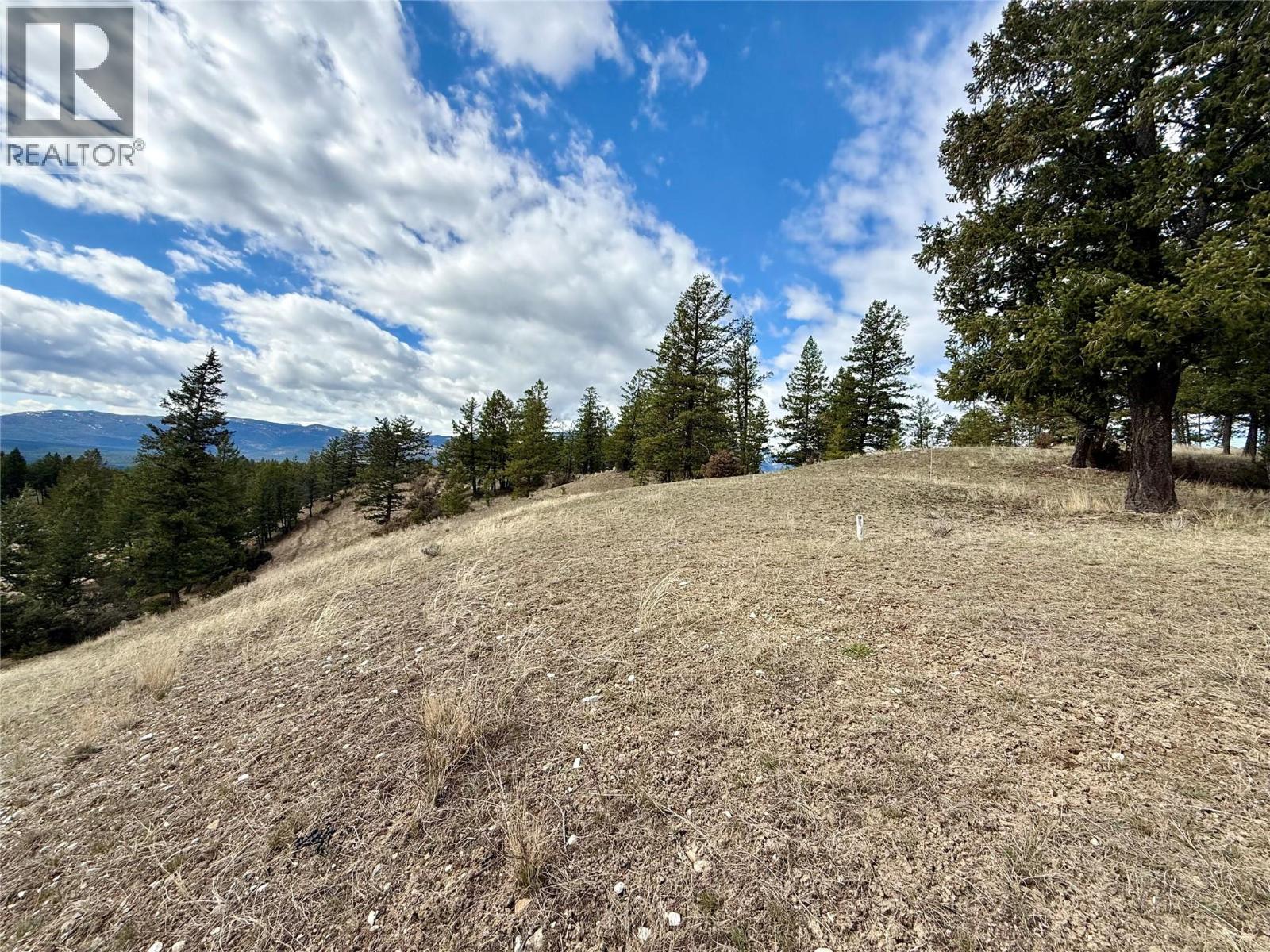 2400 Kootenay Rd No 3 Road Lot# 2, Windermere, British Columbia  V0B 1L1 - Photo 21 - 10370623