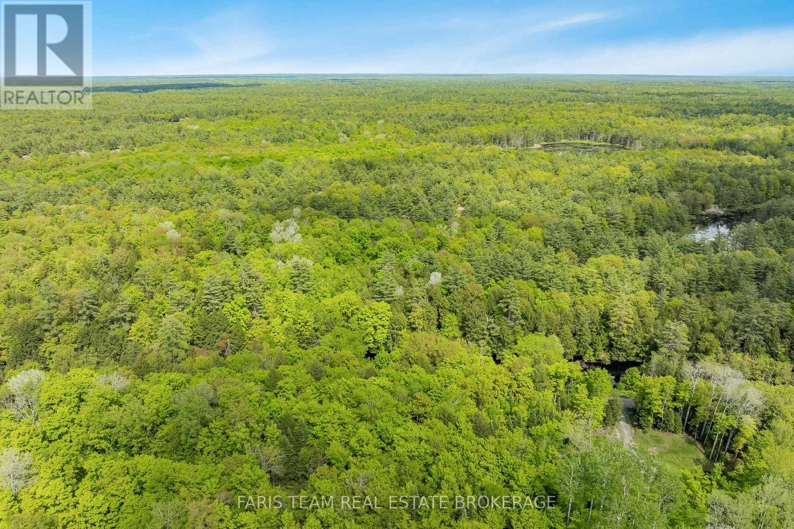 7950 Kings River Road, Ramara, Ontario  L0K 2B0 - Photo 6 - S12741664