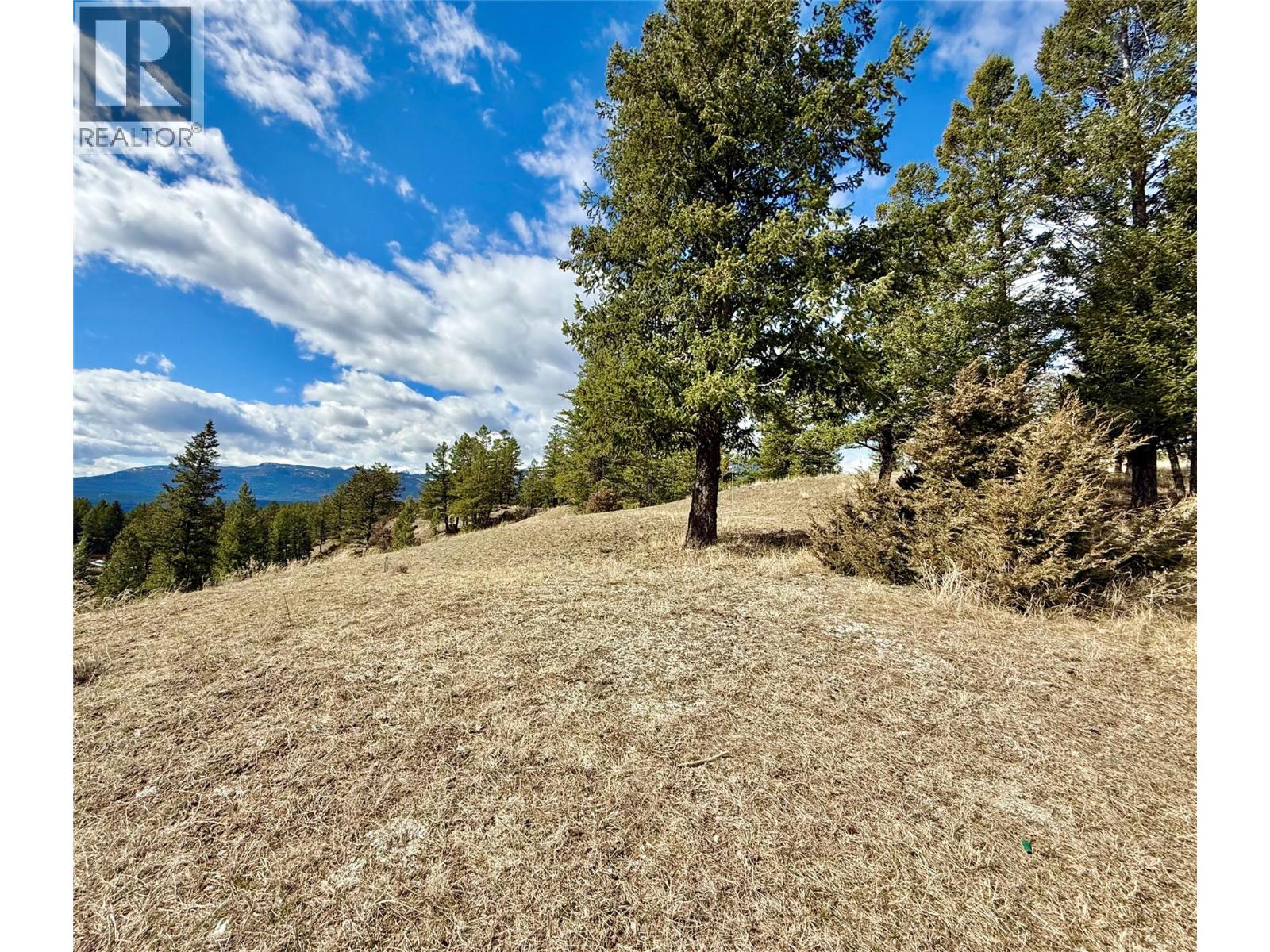 2400 Kootenay Rd No 3 Road Lot# 2, Windermere, British Columbia  V0B 1L1 - Photo 8 - 10370623