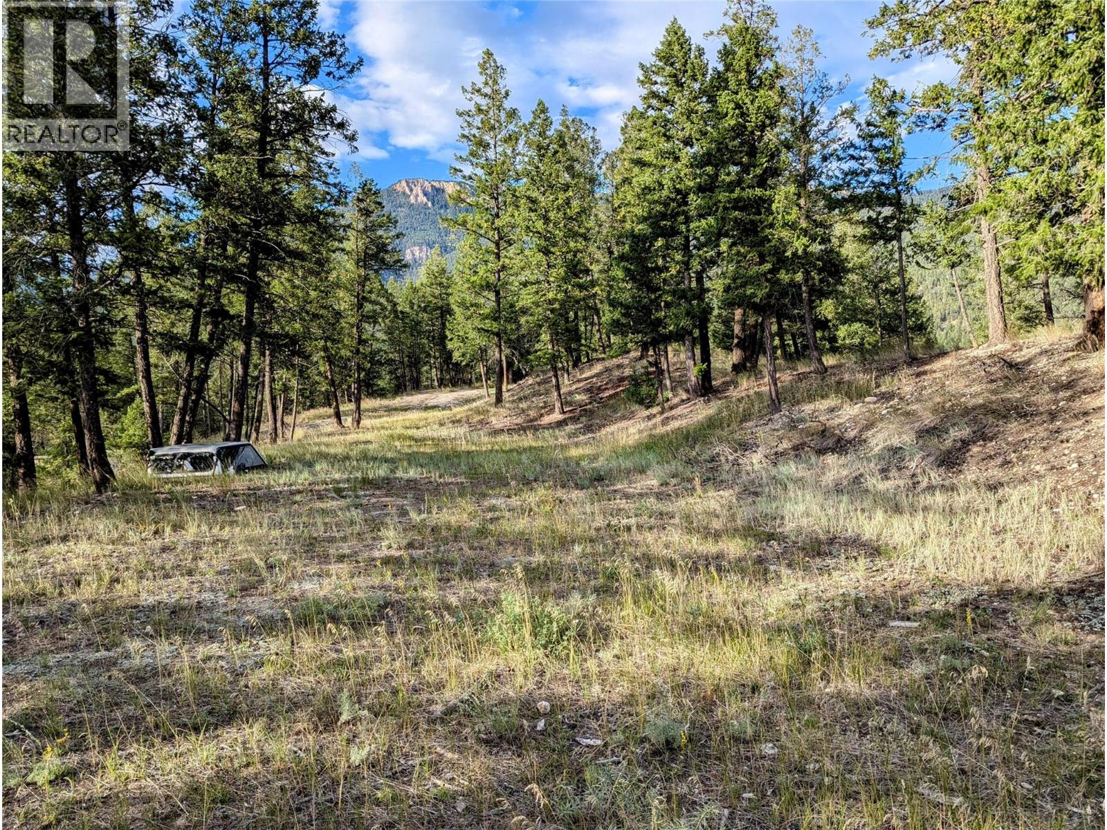 2400 Kootenay Rd No 3 Road Lot# 2, Windermere, British Columbia  V0B 1L1 - Photo 47 - 10370623