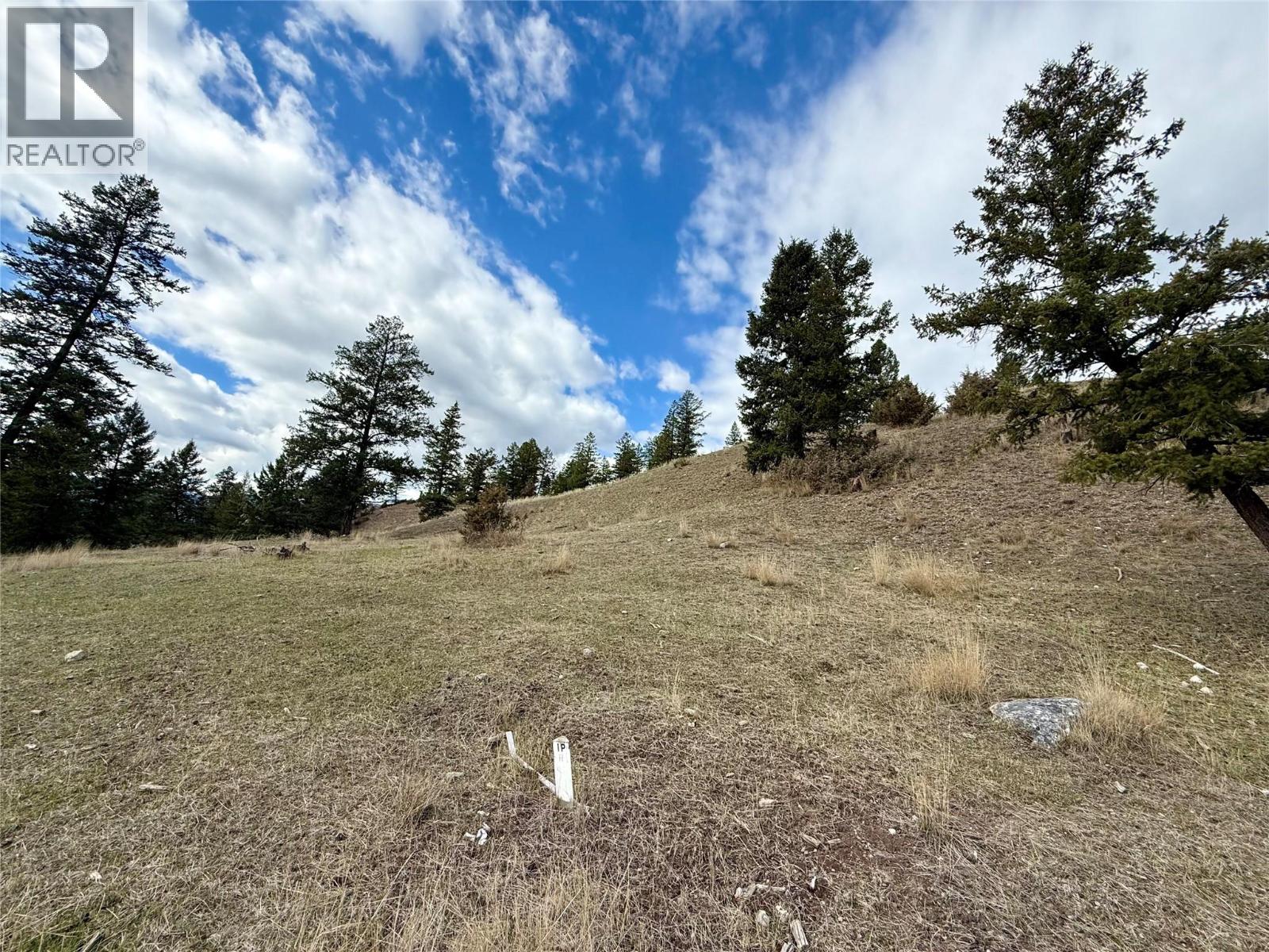 2400 Kootenay Rd No 3 Road Lot# 2, Windermere, British Columbia  V0B 1L1 - Photo 22 - 10370623