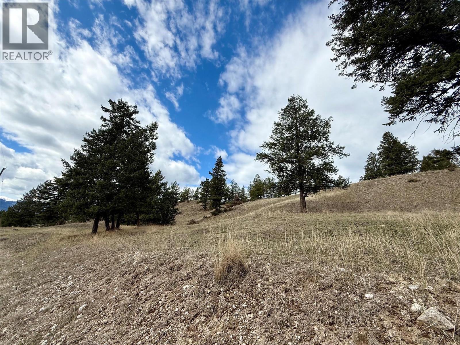 2400 Kootenay Rd No 3 Road Lot# 2, Windermere, British Columbia  V0B 1L1 - Photo 11 - 10370623