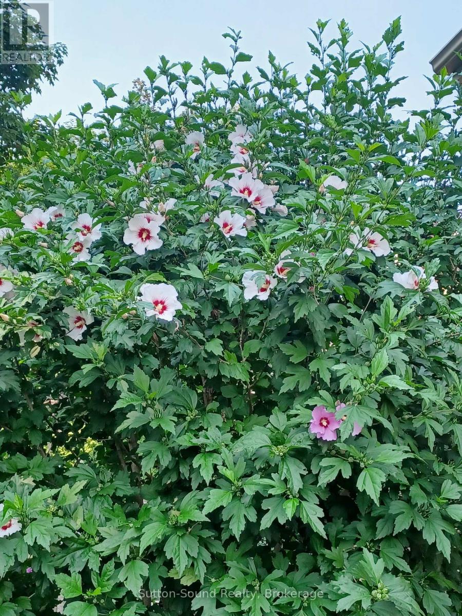 50 4th Avenue W, Owen Sound, Ontario  N4K 4V2 - Photo 44 - X12974912