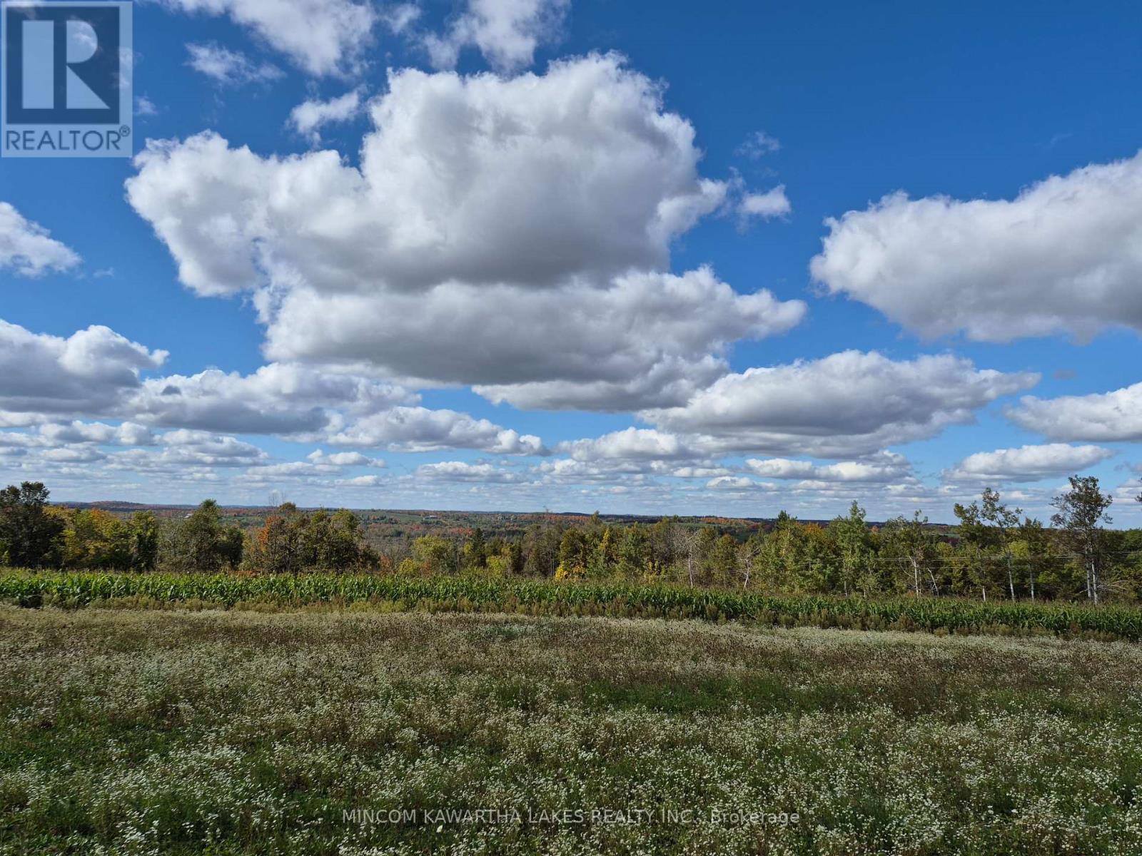 Pl 15 Base Line, Otonabee-South Monaghan, Ontario K0L 2G0 - Photo 4 - X12978564