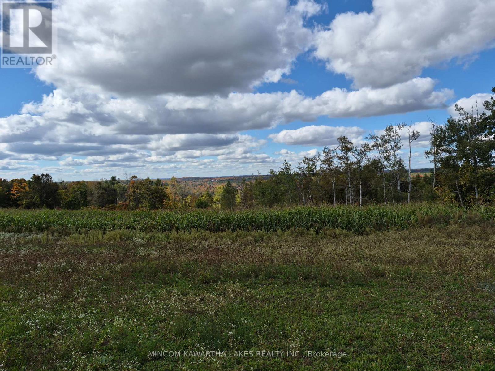Pl 15 Base Line, Otonabee-South Monaghan, Ontario K0L 2G0 - Photo 3 - X12978564