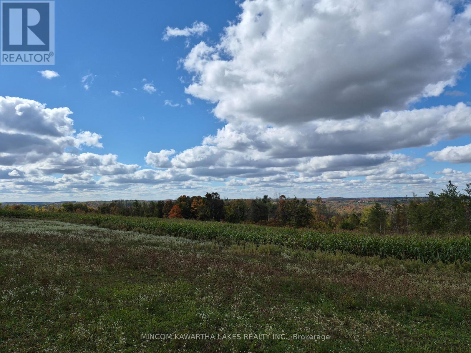 Pl 15 Base Line, Otonabee-South Monaghan, Ontario K0L 2G0 - Photo 2 - X12978564