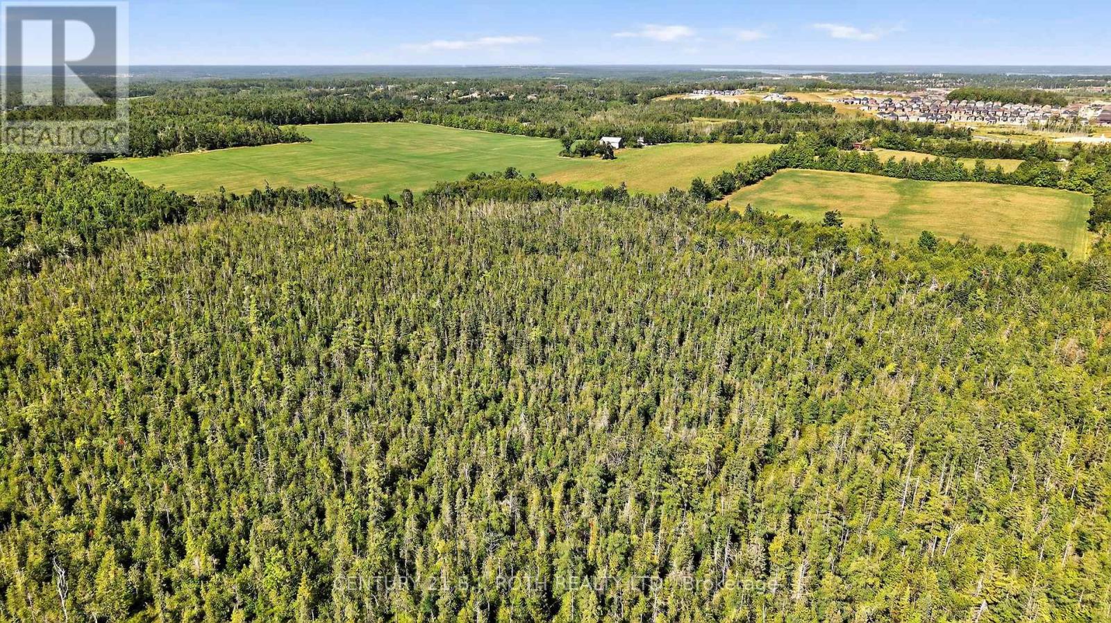 850 15 Line N, Oro-Medonte, Ontario  L3V 6H1 - Photo 10 - S12978852