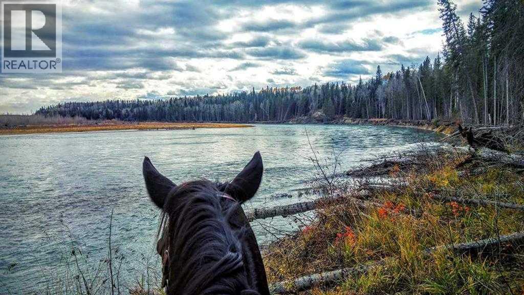 411048c Buster Creek, Rural Clearwater County, Alberta  T4T 1A5 - Photo 43 - A2292079