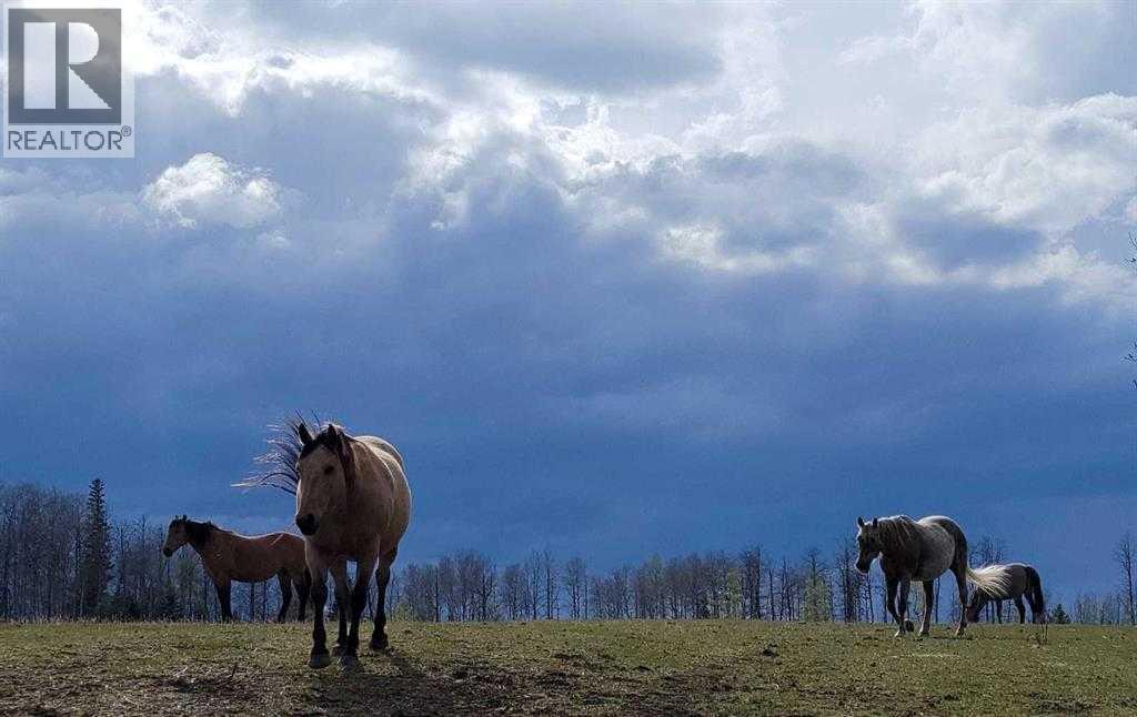 411048c Buster Creek, Rural Clearwater County, Alberta  T4T 1A5 - Photo 40 - A2292079