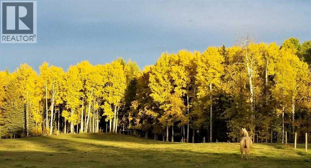 411048c Buster Creek, Rural Clearwater County, Alberta  T4T 1A5 - Photo 37 - A2292079