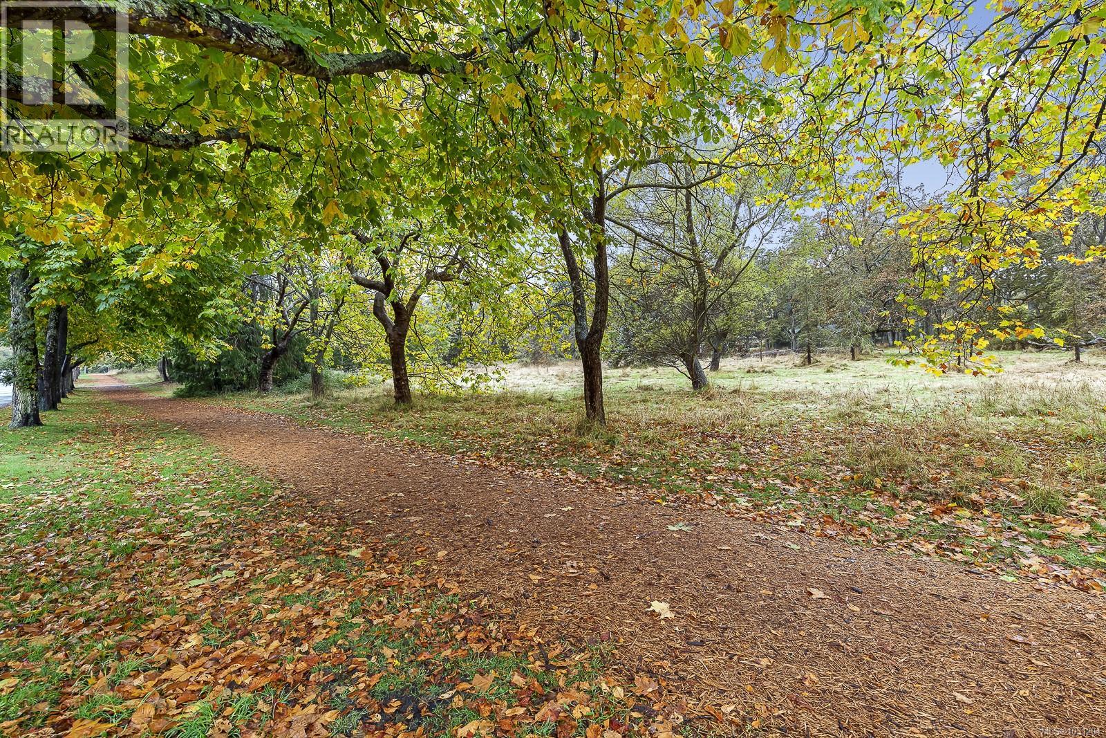 422 964 Heywood Ave, Victoria, British Columbia  V8V 2Y5 - Photo 29 - 1031204