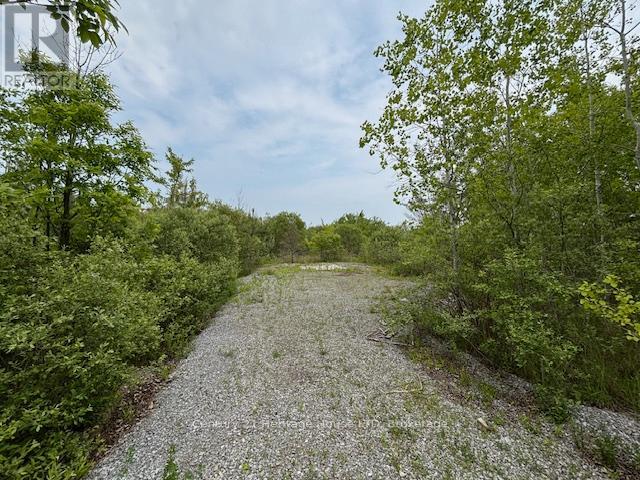 655 Pleasant Beach Road, Port Colborne, Ontario  L0S 1R0 - Photo 9 - X12979162