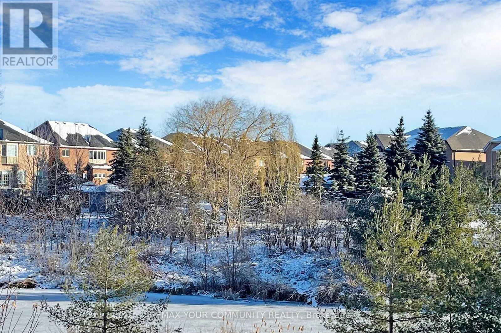 49 Napanee Street, Richmond Hill, Ontario  L4E 0X3 - Photo 29 - N12978934