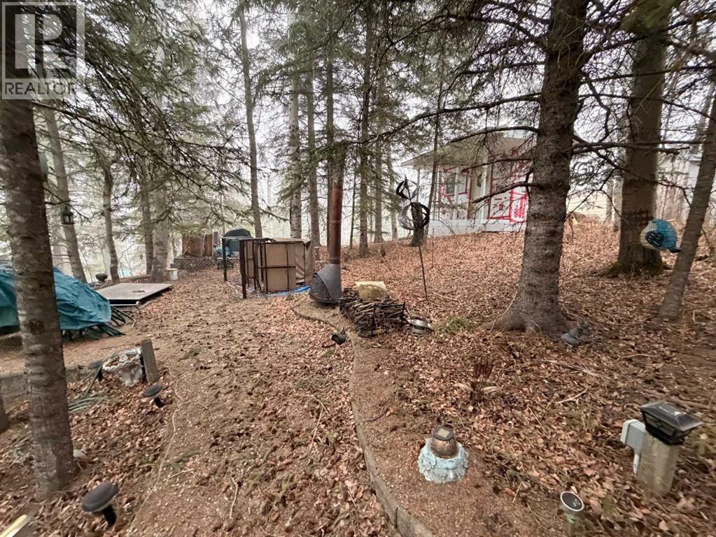 617 3 Street, Rural Cypress County, Alberta  T0J 1C0 - Photo 8 - A2296328