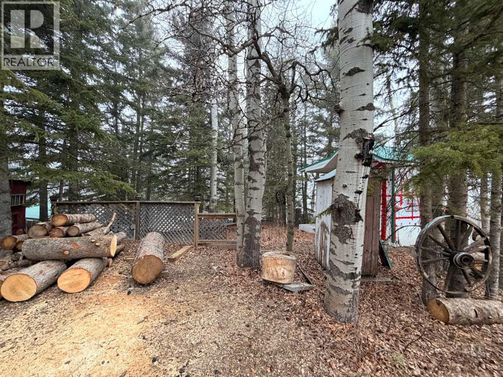 617 3 Street, Rural Cypress County, Alberta  T0J 1C0 - Photo 11 - A2296328