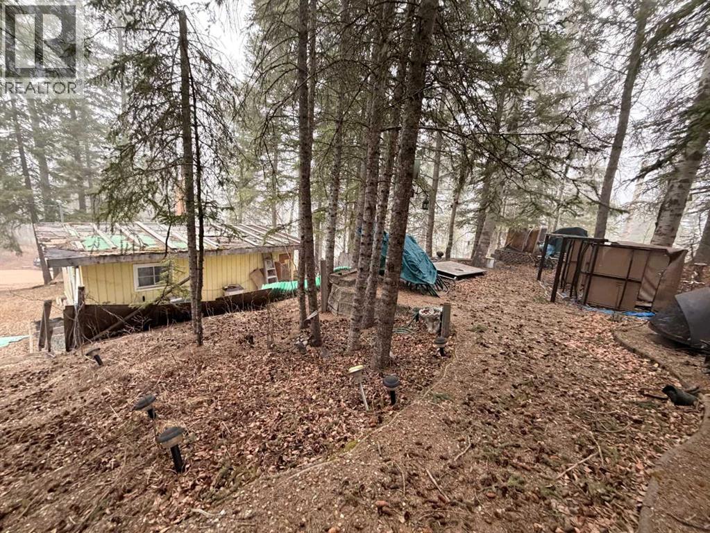 617 3 Street, Rural Cypress County, Alberta  T0J 1C0 - Photo 19 - A2296328