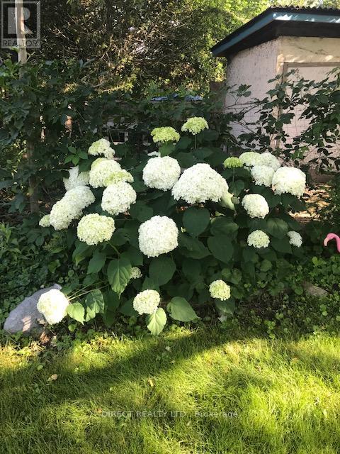 22498 Loyalist Parkway, Quinte West, Ontario  K8V 5P5 - Photo 36 - X12979354