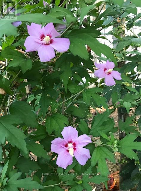 22498 Loyalist Parkway, Quinte West, Ontario  K8V 5P5 - Photo 40 - X12979354