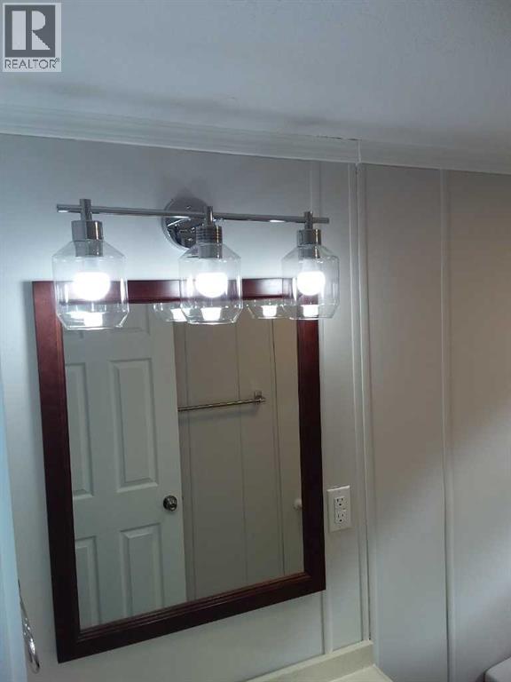 236 Polar Avenue Ne, High River, Alberta  T1V 1J5 - Photo 26 - A2285830